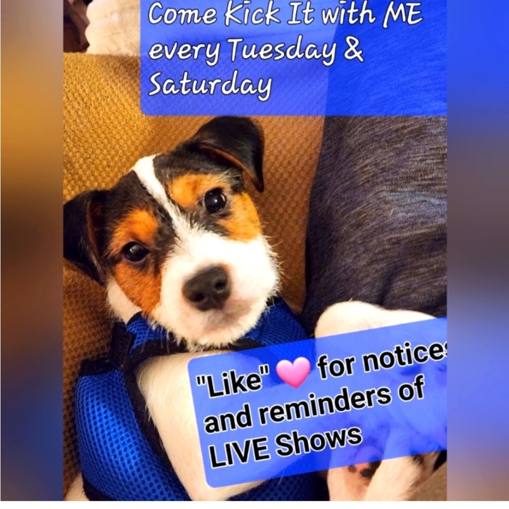 Like my Live Share Show listing to b notified - Picture 4 of 16